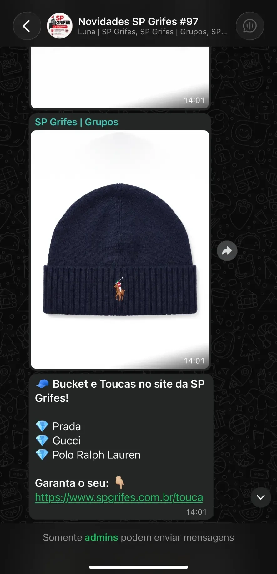 Print de novidades enviadas no grupo VIP da SP Grifes no WhatsApp
